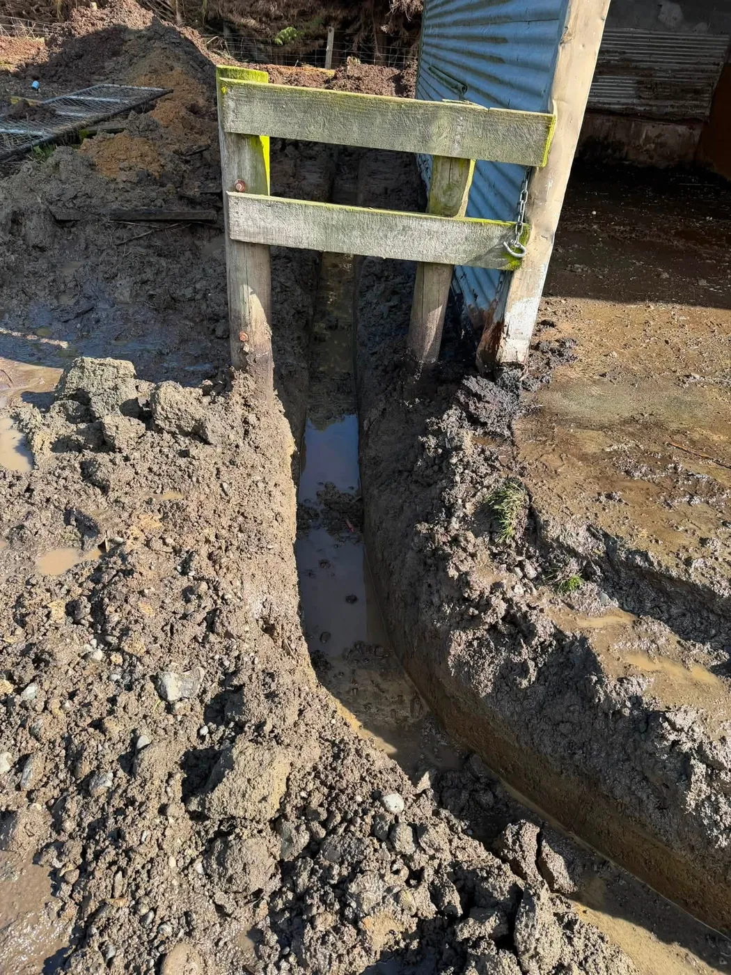 Drain Cleaning